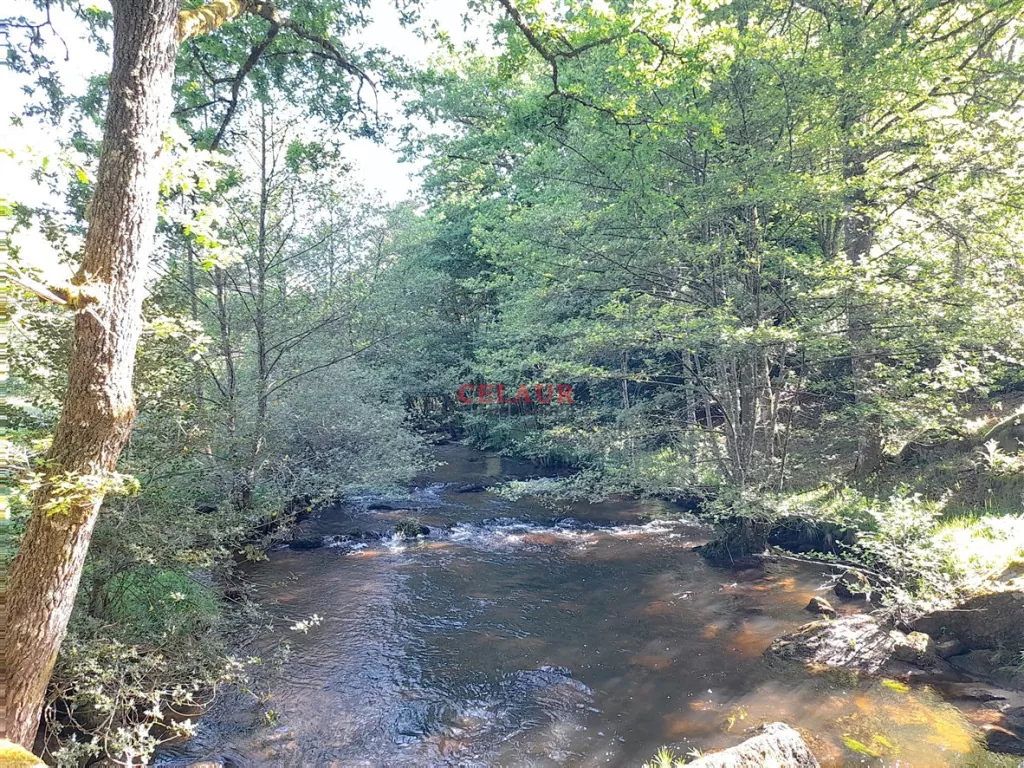 Propri&eacute;t&eacute; avec d&eacute;pendances, travers&eacute;e par une rivi&egrave;re