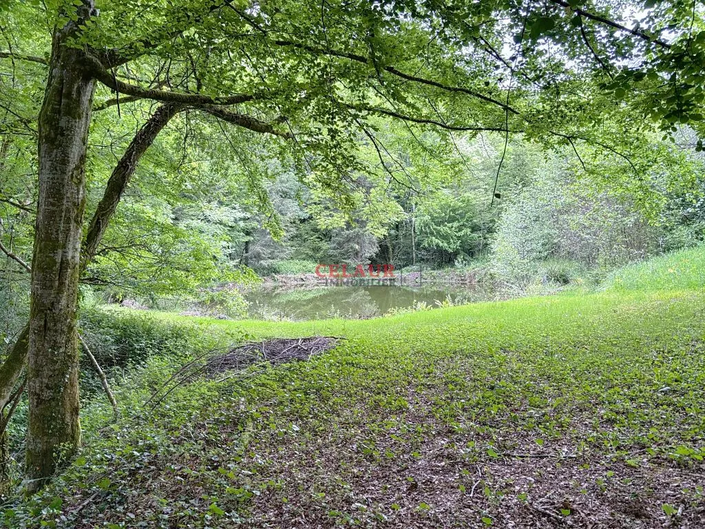 Sans voisins, sur 1 ha de terrain, maison et d&eacute;pendance avec &eacute;tang