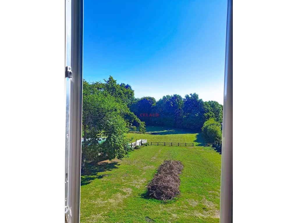 Solide maison familiale avec plus de 3hectares attenant.