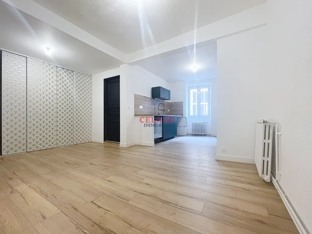 BEL APPARTEMENT RENOVE CENTRE VILLE