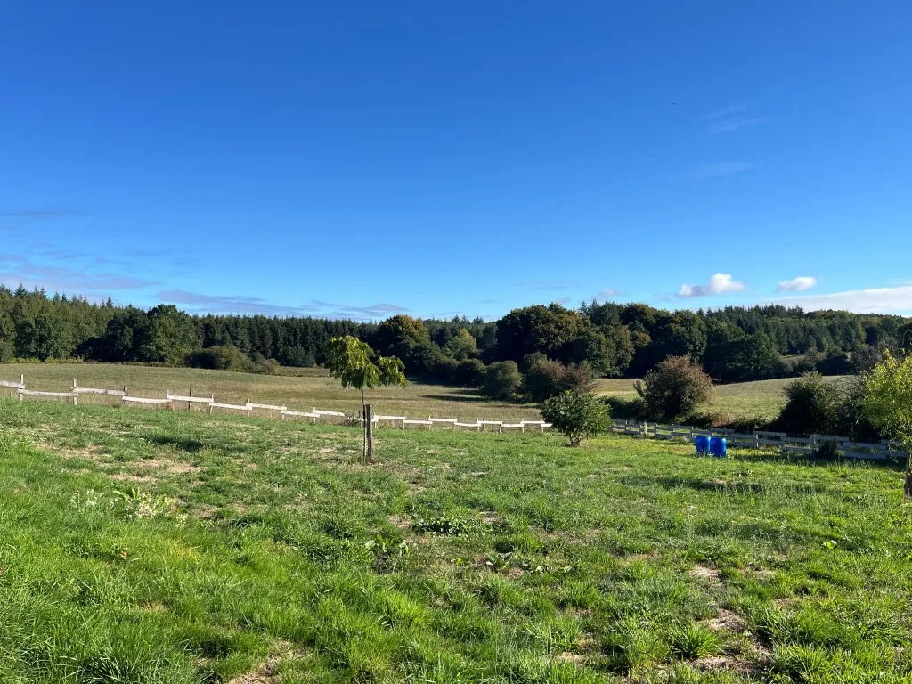SUPERBE GRANGE AVEC VUE...